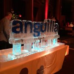 Table Top Logo Ice Sculpture or Luge