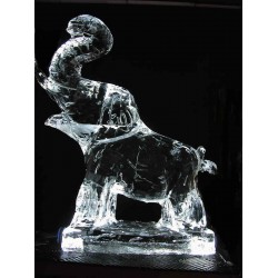 Elephant Ice Sculpture