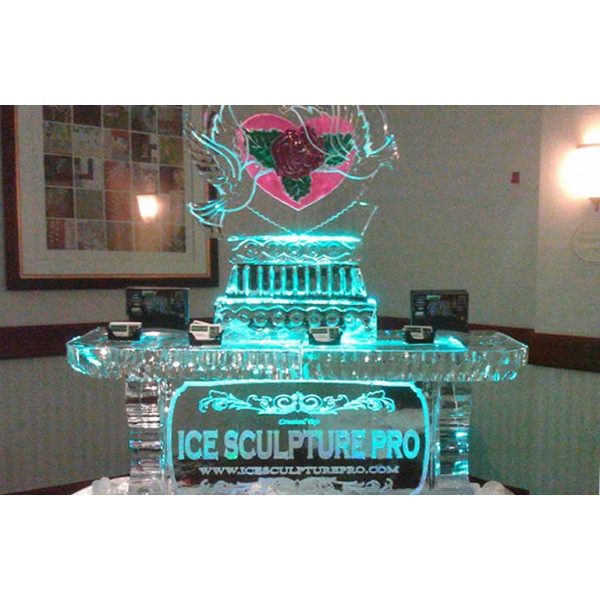 Ice Sculpture Video-Photo Shoot
