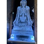 Skeleton Ice Sculpture or Luge