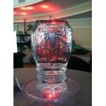 Character Logo Ice  Sculpture