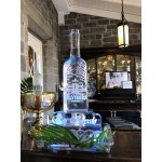 Vodka Bottle Ice Luge