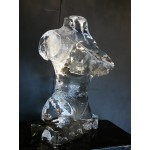 Lady Bust 2 Front Luge