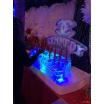 Monogram Ice Sculpture