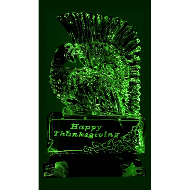 https://www.icesculpturepro.com/store/image/cache/catalog/thanksgiving-800x800.jpg