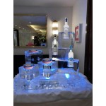 Vodka-Caviar Display Ice Sculpture
